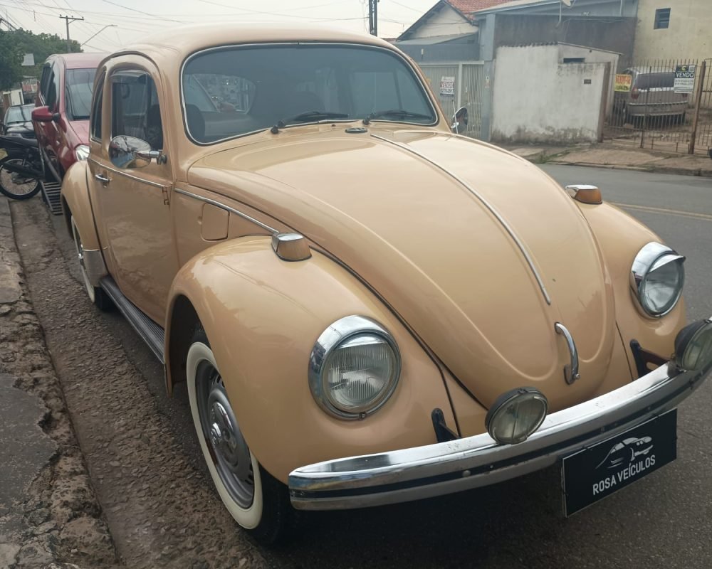 WhatsApp Image 2025-11-19 at 11.51.57 (1)