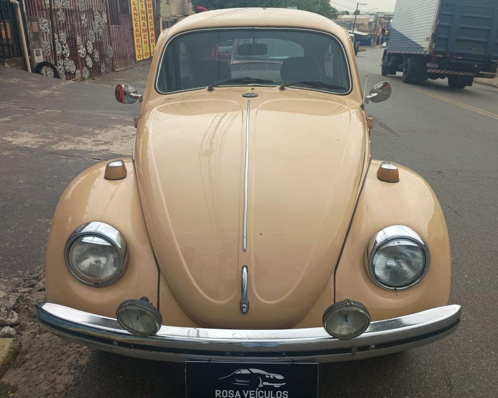 WhatsApp Image 2025-11-19 at 11.51.57 (2)