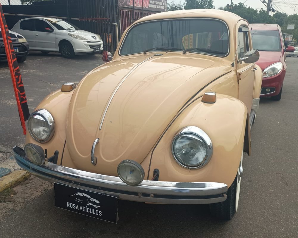 WhatsApp Image 2025-11-19 at 11.51.57