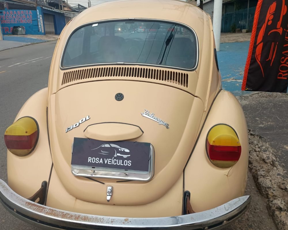 WhatsApp Image 2025-11-19 at 11.51.58 (2)