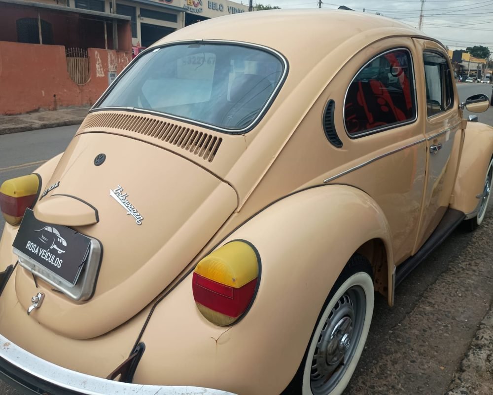 WhatsApp Image 2025-11-19 at 11.51.58 (3)