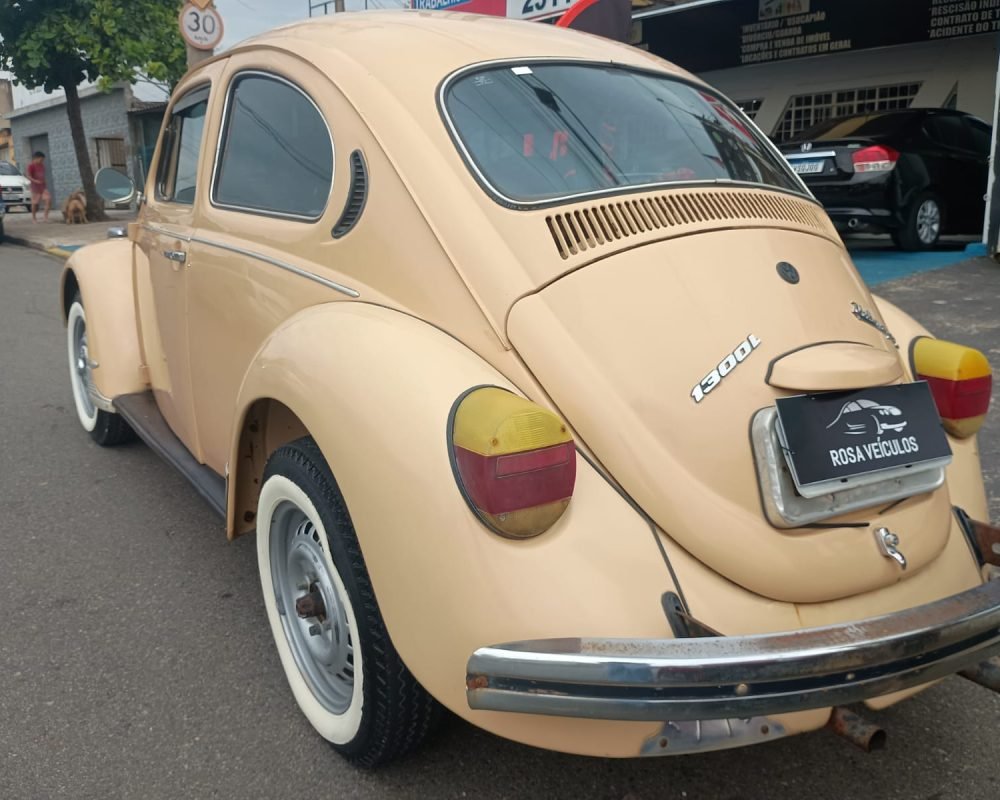 WhatsApp Image 2025-11-19 at 11.51.58 (4)