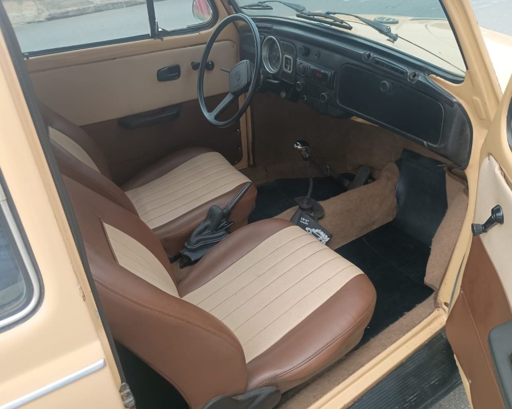 WhatsApp Image 2025-11-19 at 11.51.58