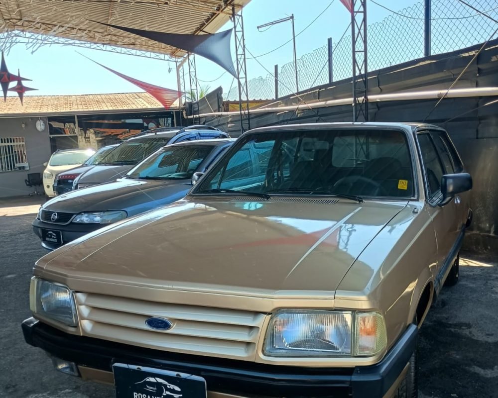 WhatsApp Image 2026-03-03 at 12.00.01