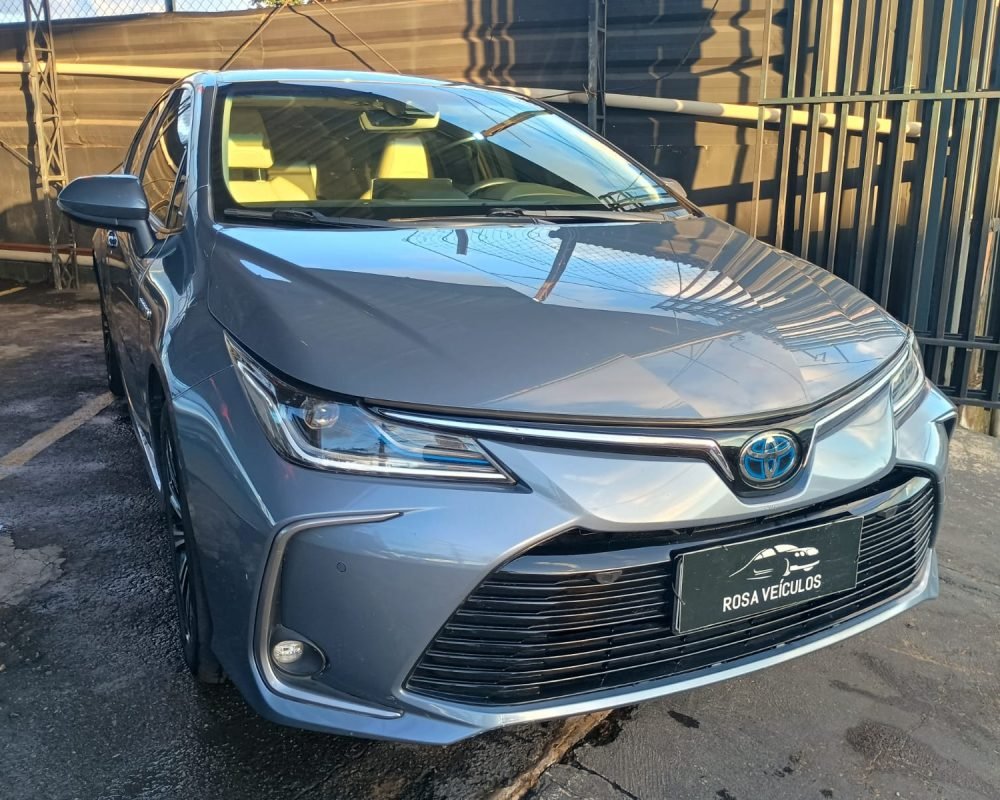 WhatsApp Image 2026-04-09 at 17.33.30 (1)