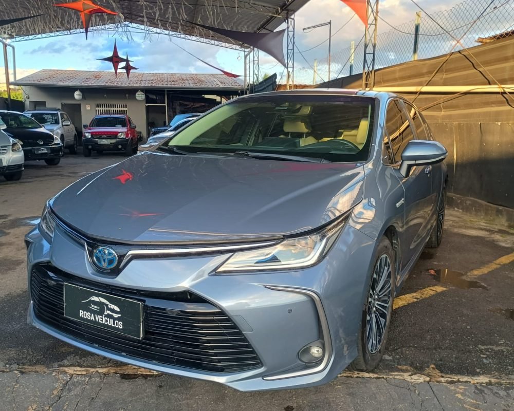 WhatsApp Image 2026-04-09 at 17.33.30 (2)